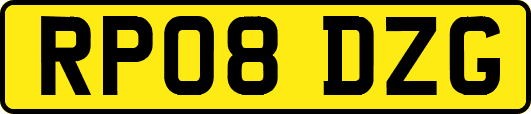 RP08DZG