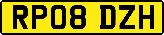 RP08DZH