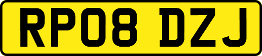 RP08DZJ