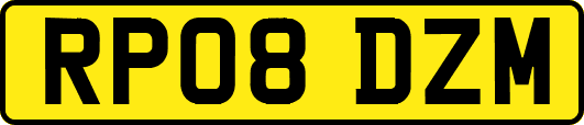 RP08DZM