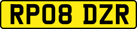 RP08DZR