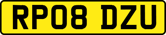 RP08DZU