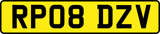 RP08DZV