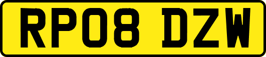 RP08DZW