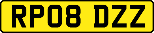 RP08DZZ