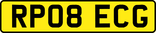 RP08ECG
