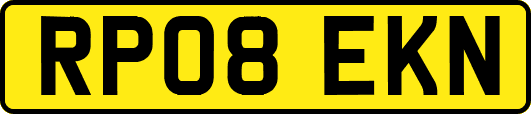 RP08EKN
