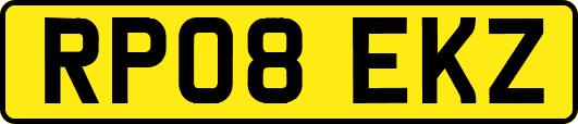 RP08EKZ