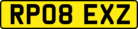 RP08EXZ