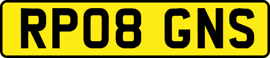 RP08GNS