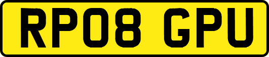RP08GPU