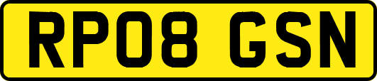 RP08GSN