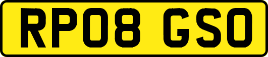 RP08GSO