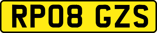 RP08GZS