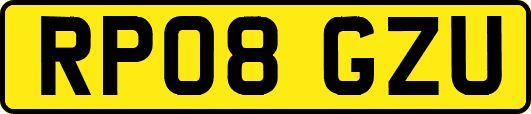 RP08GZU