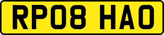 RP08HAO