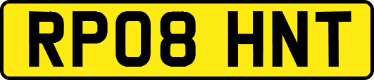 RP08HNT