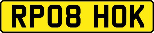 RP08HOK