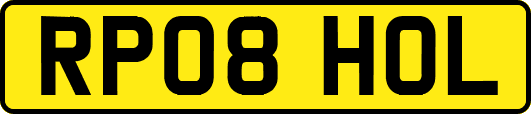 RP08HOL