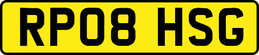 RP08HSG