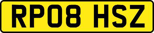 RP08HSZ