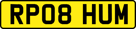 RP08HUM