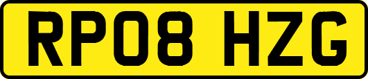 RP08HZG