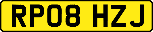RP08HZJ
