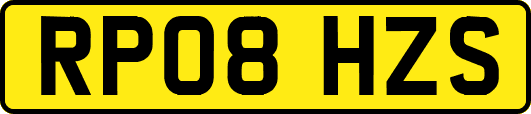 RP08HZS