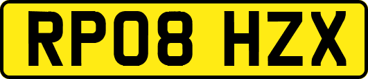 RP08HZX