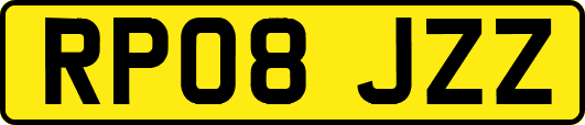 RP08JZZ