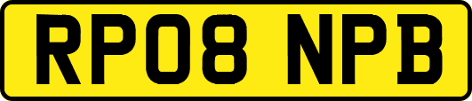RP08NPB