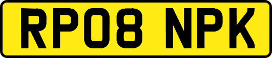 RP08NPK
