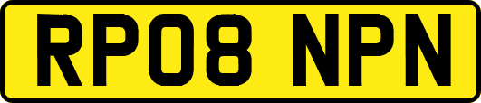 RP08NPN