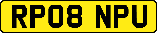 RP08NPU