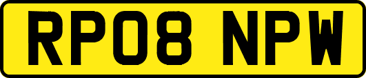 RP08NPW