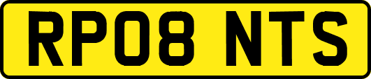 RP08NTS