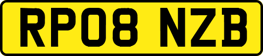 RP08NZB