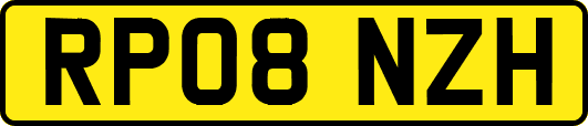 RP08NZH