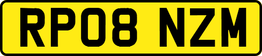 RP08NZM