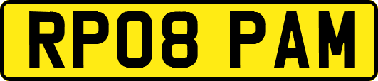 RP08PAM