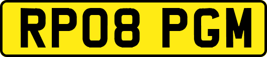 RP08PGM