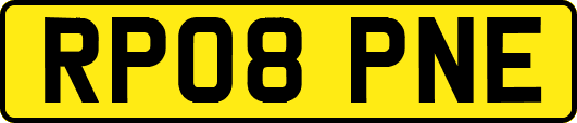 RP08PNE