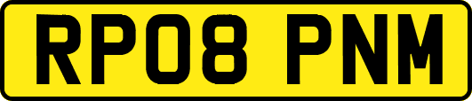 RP08PNM