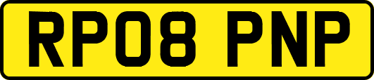 RP08PNP