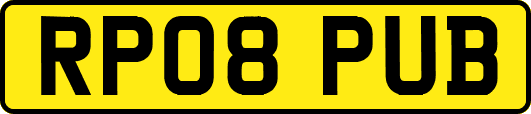RP08PUB