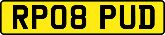 RP08PUD
