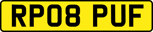 RP08PUF