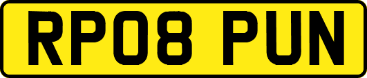 RP08PUN