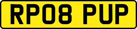 RP08PUP